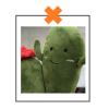 Kawaii knuffel plantje cactus naturel